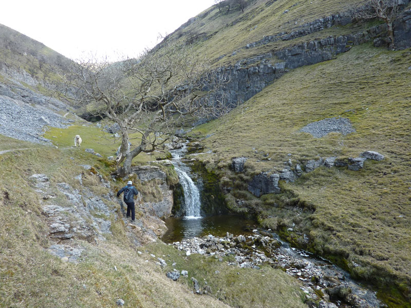 Waterfall Photos